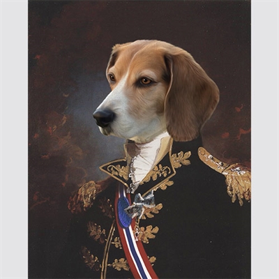 Personalized Major General Masterpiece from Photo - myDaVinci